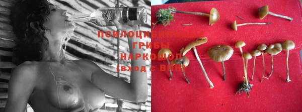 MESCALINE Козельск